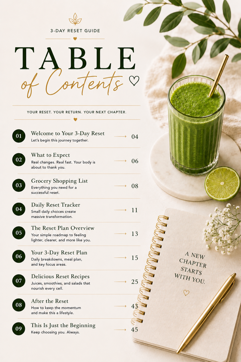 RAW RESET - The 3-Day Reboot Guide